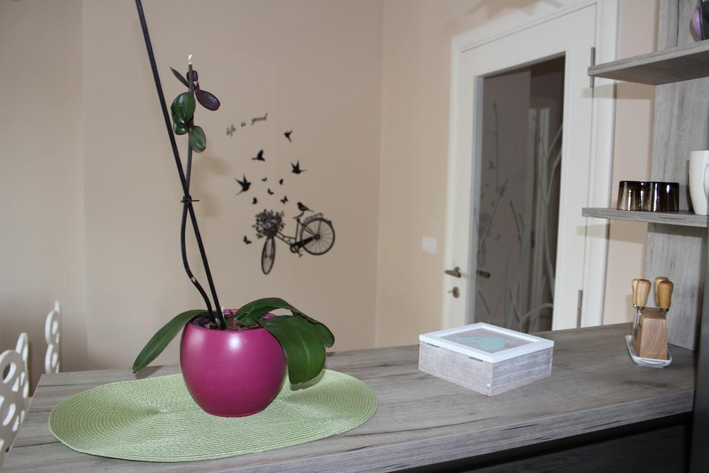 Orchid House Apartment Belgrade Exterior photo